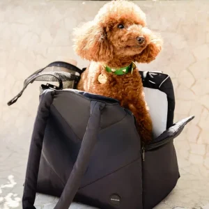 The Destination Pet Carrier Tote (Enclosed)