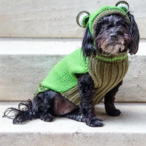 Froggy Doggy Handknit Dog Sweater w/ Hood