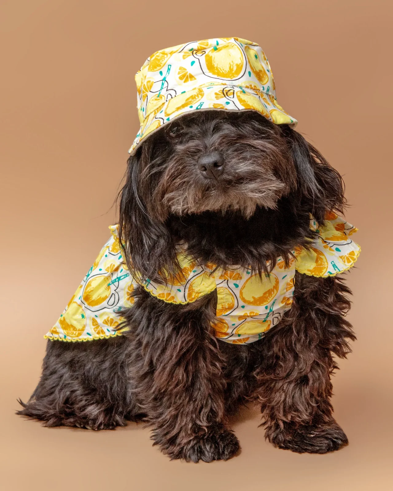 Sweet Lemonade Dress for Dogs <> - Image 2