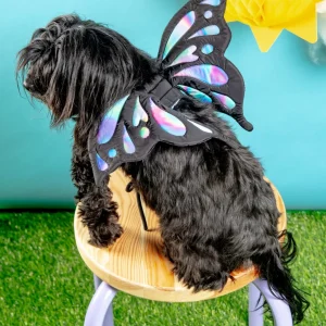 Adjustable Tie-On Butterfly Wings for Dogs
