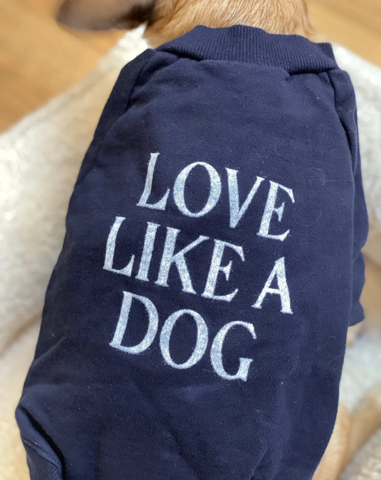 Cut-Sleeve “Love Like a Dog” T-Shirt (Made in the USA) (FINAL SALE) - Image 2