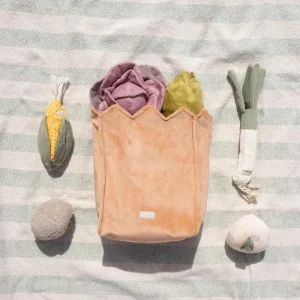 Farmer's Market Enrichment Toy Set