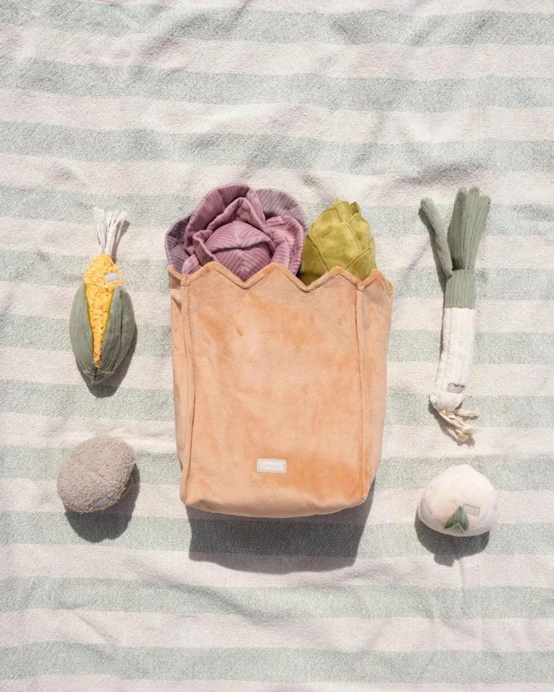 Farmer's Market Enrichment Toy Set