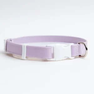 A Walk in the Park Dog Collar in Lilac