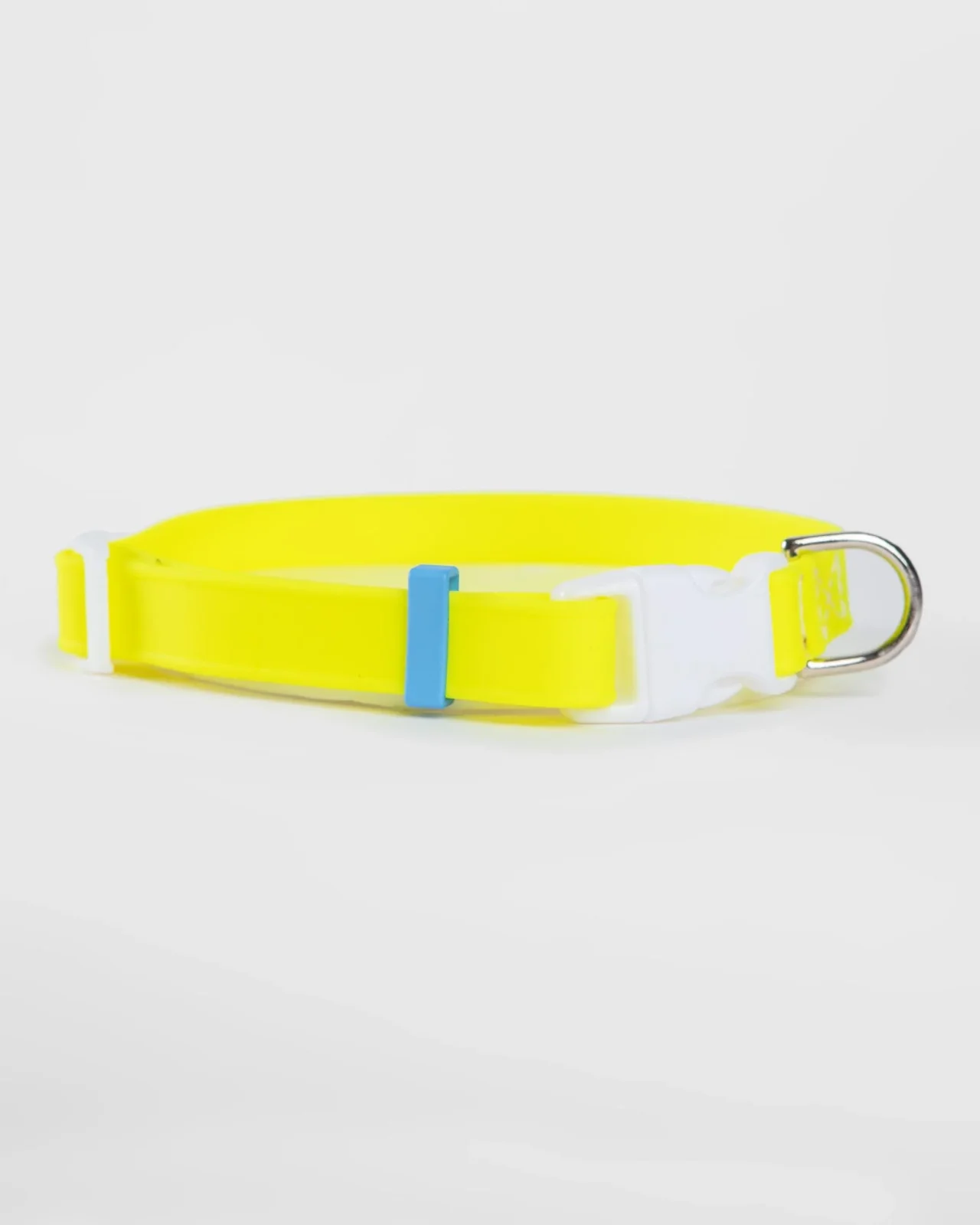 A Walk in the Park Dog Collar in Neon Yellow (Made in the USA) (FINAL SALE) - Image 2
