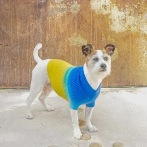 Tie-Dye Cashmere Blend Sweater in Blueberry & Pineapple <>