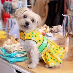 Retro Daisies Ladybug Dress for Dogs