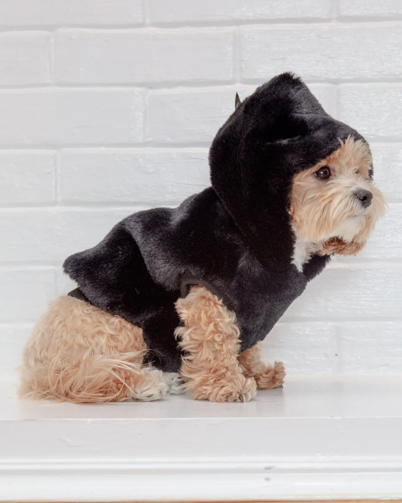 Faux Fur Dog Hoodie in Black <>
