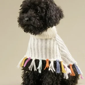Rainbow Knit Alpaca Dog Poncho <>