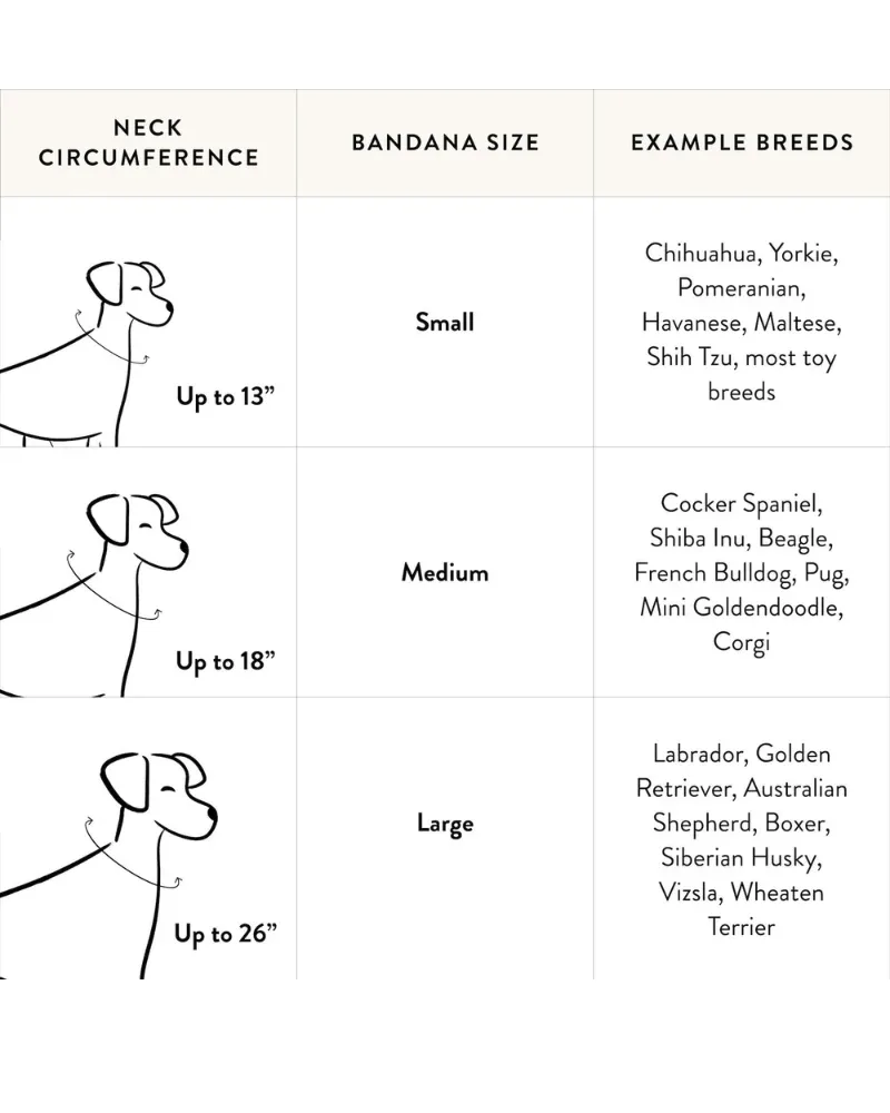 Champagne & Caviar Dog Bandana (Made in the USA) - Image 2
