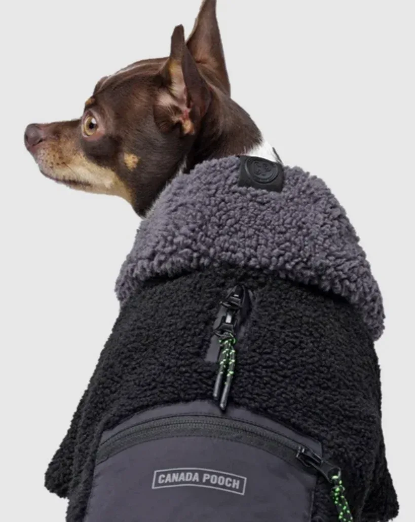 Cool Factor Fleece Dog Hoodie in Black & Grey <> - Image 2