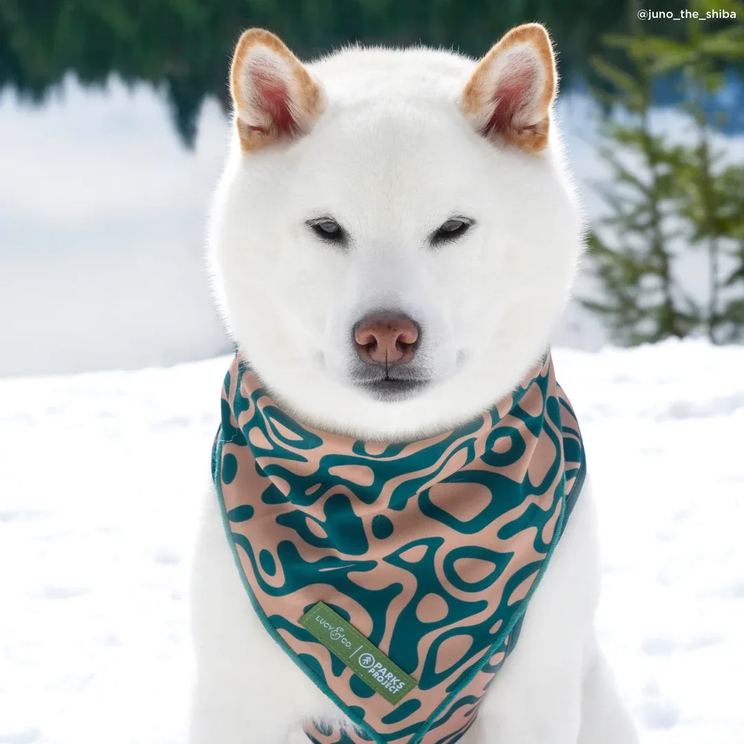 Lucy & Co. x Parks Project Geyser Bandana - Image 2