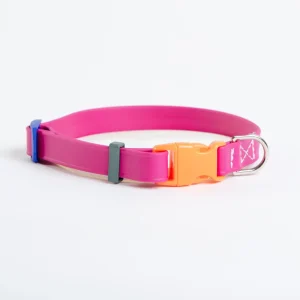 A Walk in the Park Dog Collar in Magenta Pink (Made in the USA)