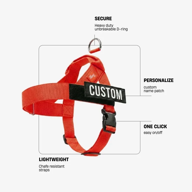 Personalised Dog Harness - Red - Image 2