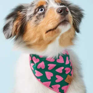 Lovestruck Dog Bandana (Made in the USA)