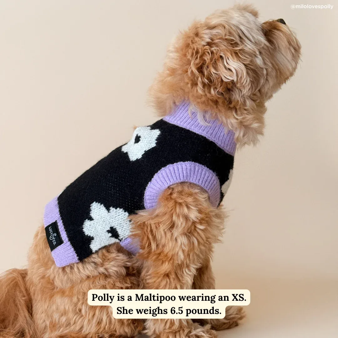 Far Out Sweater - Image 2