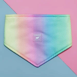 Chill Seeker Cooling Dog Bandana in Rainbow <>