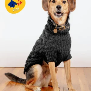 Downtown Roll Neck Dog Sweater in Black (FINAL SALE)