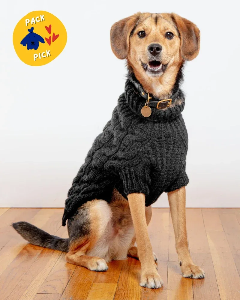 Downtown Roll Neck Dog Sweater in Black (FINAL SALE)
