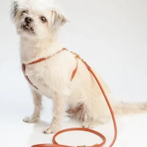 Italian Leather Dog Leash in Luggage Brown