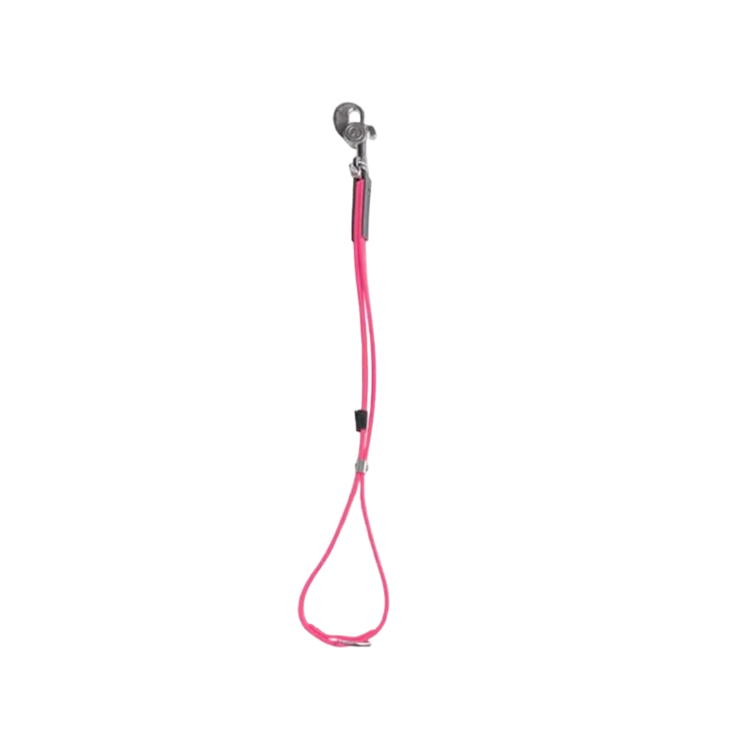 AXL Loop in Pink by Alpha Grooming