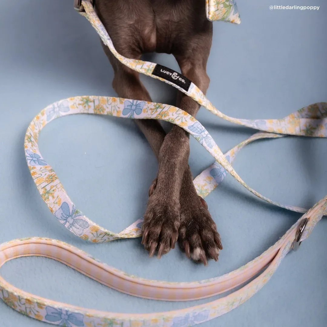 Sunshine and Daffodils Leash - Image 2