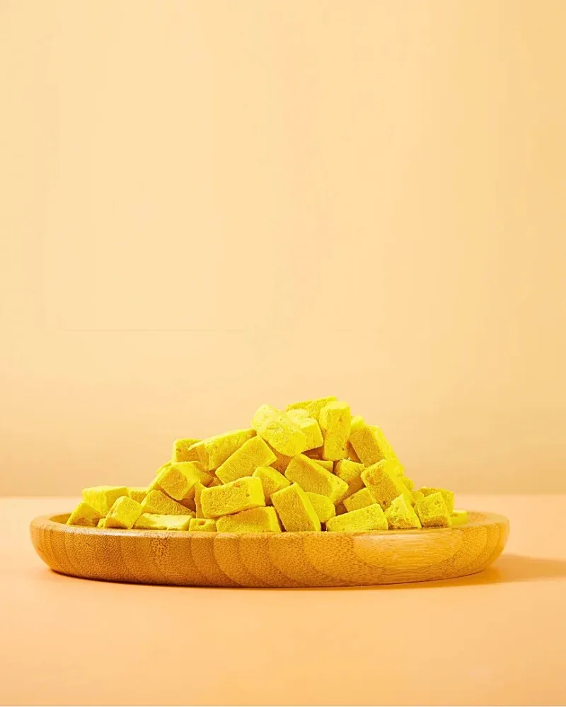 Freeze-Dried Pumpkin Yogurt Treats For Dogs & Cats - Image 2
