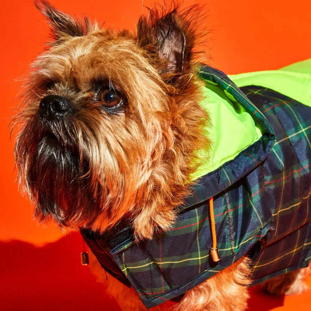 Plaid/Neon Nylon Yellow Puffer Dog Jacket - Image 2
