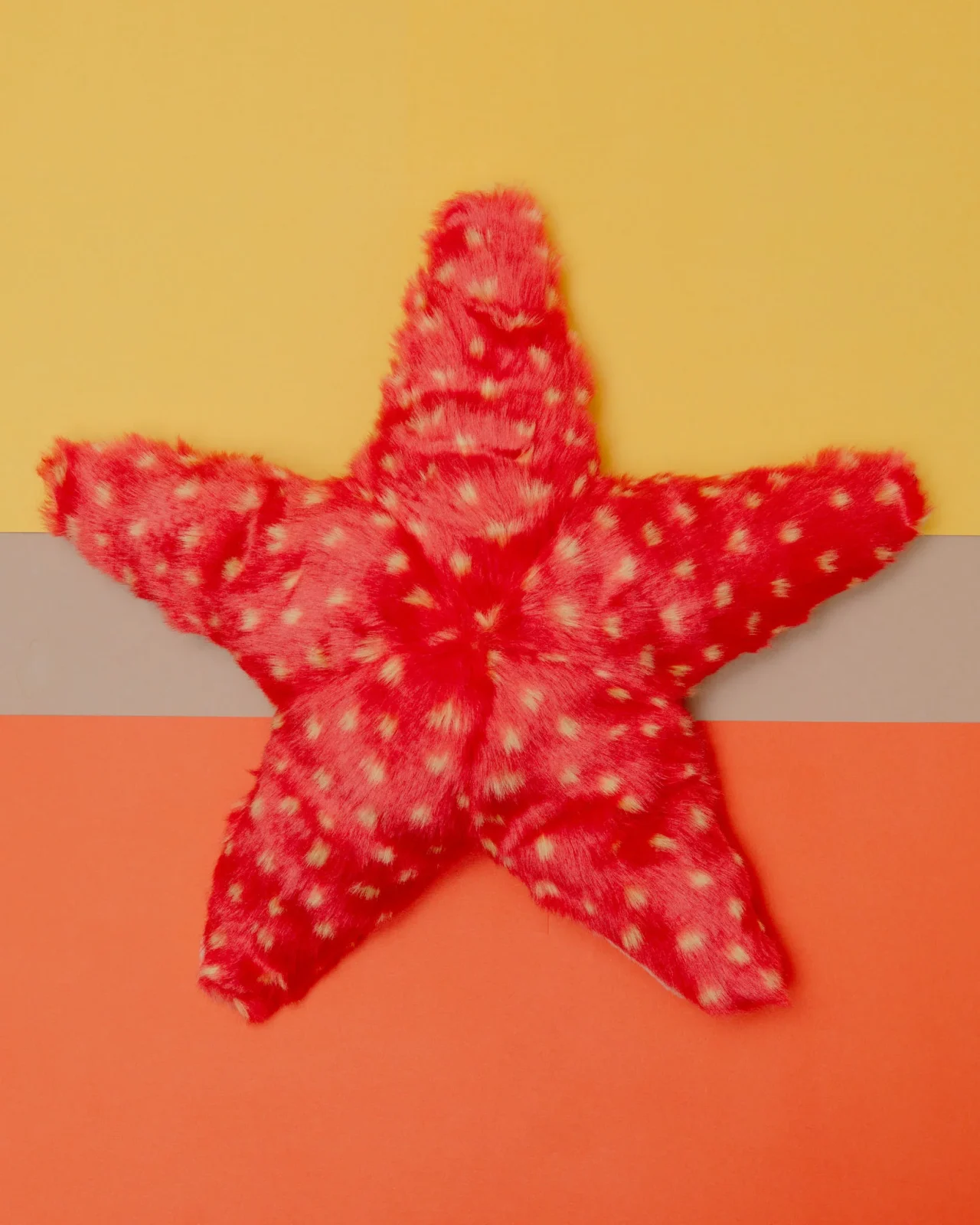 Ziggy Starfish Plush Dog Toy - Image 2