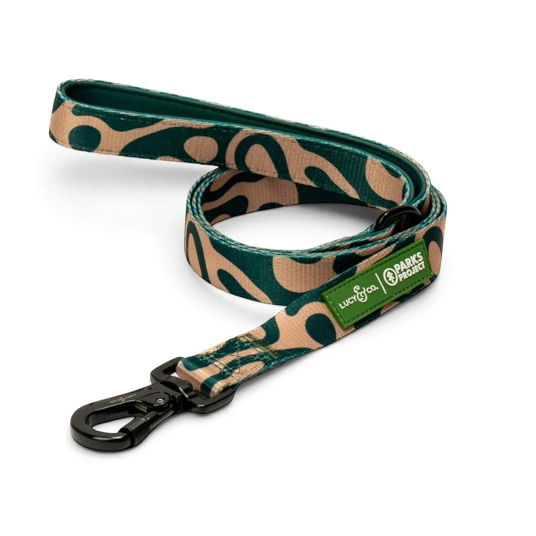 Lucy & Co. x Parks Project Geyser Leash