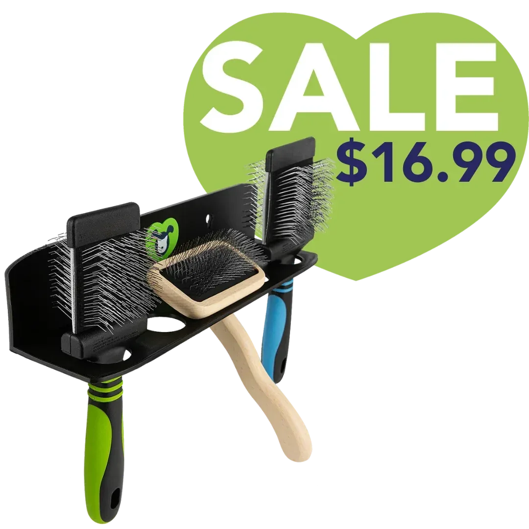 Hanging Brush Holder Black by PetStore.Direct