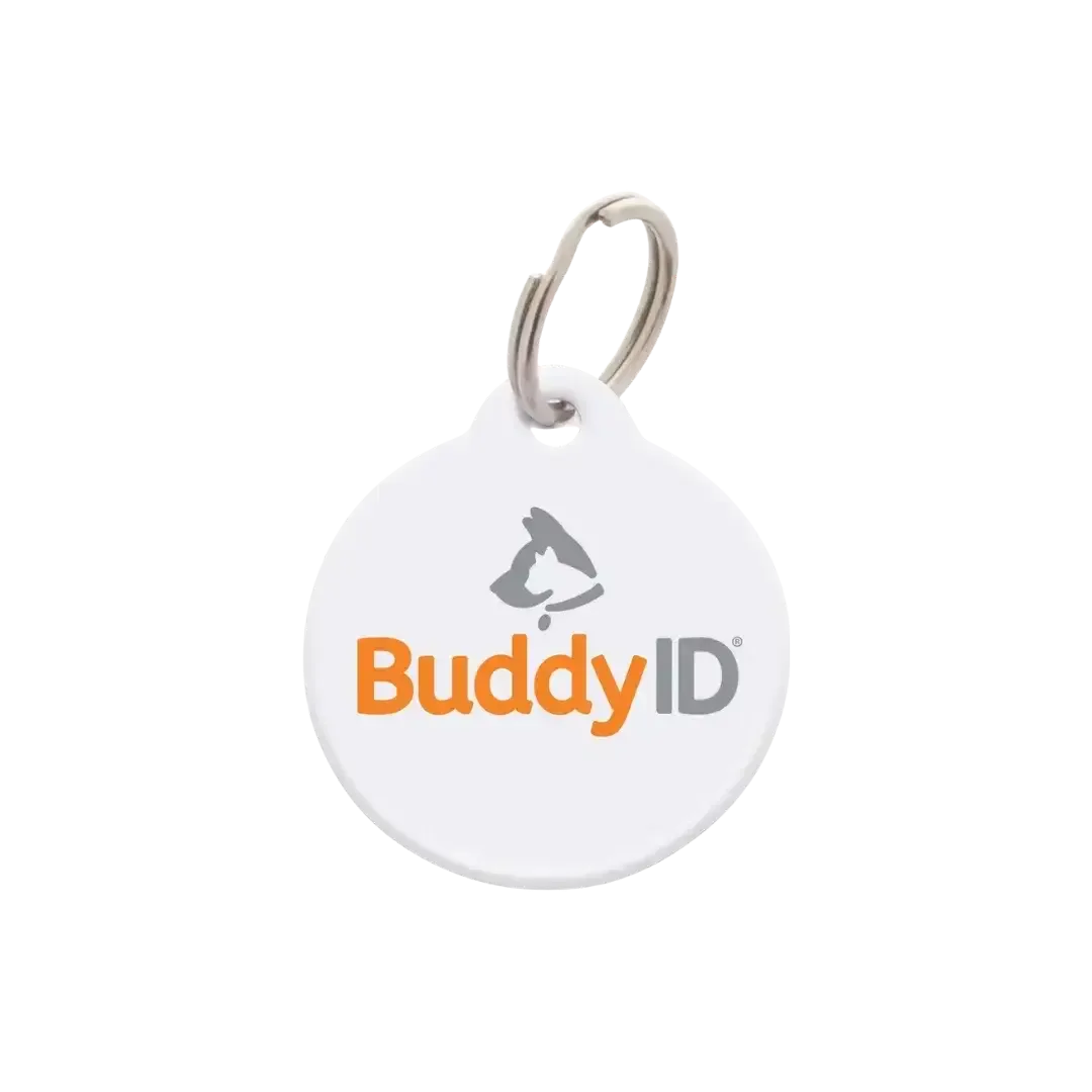 Box of 12 BuddyBadge Collar Tags with Registration by BuddyID - Image 2