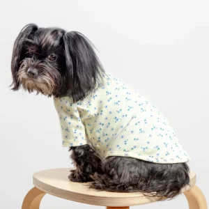 Forget-Me-Not Cozy Dog Shirt in Yellow (FINAL SALE)