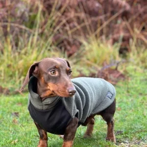 Dachshund Fleece Jumper with Waterproof Belly Panel (Made in the UK)