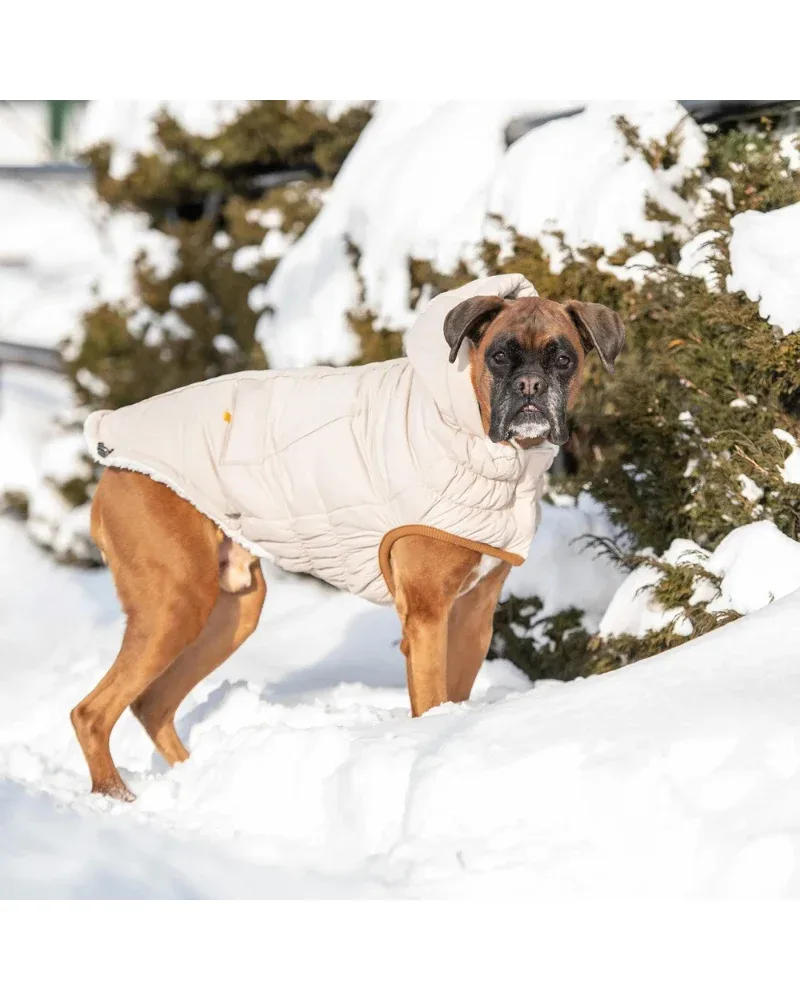 Arctic Dog Parka in Sand - Image 2