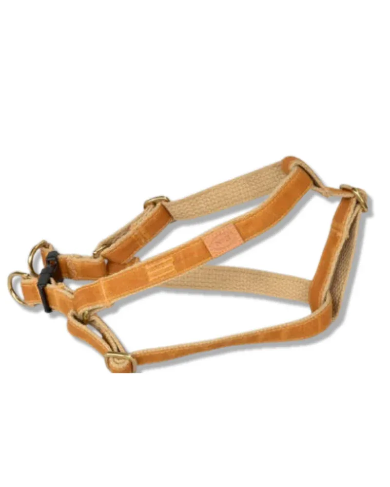 Golden Waxed Dog Harness (Made in the USA) - Image 2