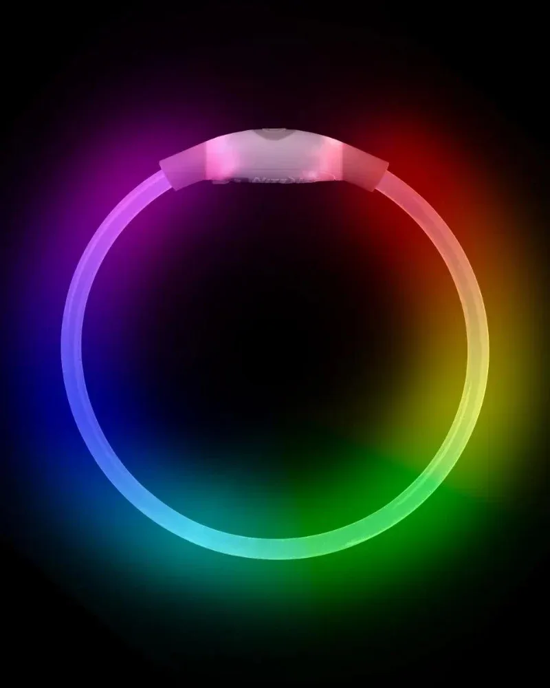 NITEHOWL® Rechargeable Led Safety Dog Necklace in Mini - Image 2