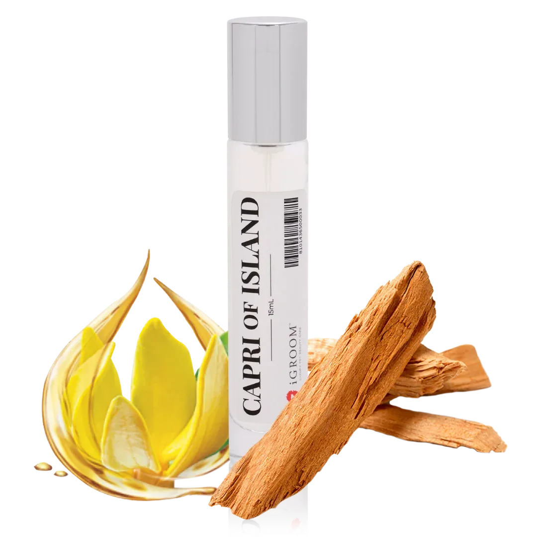 Capri Island Perfume 15ml by iGroom - Image 2