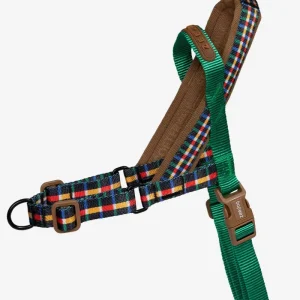 SofterWalk No-Pull Dog Harness in Travis