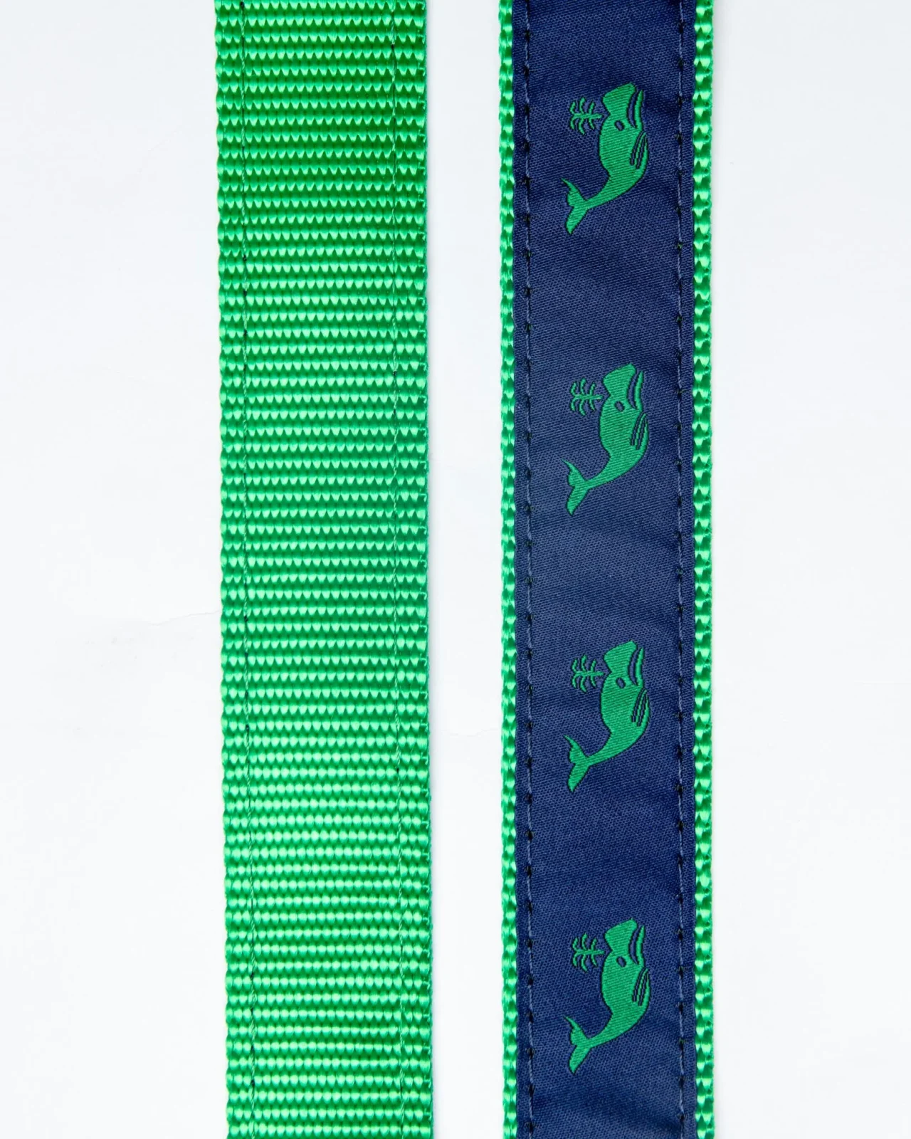 Navy + Green Whale Dog Leash (Made in the USA) - Image 2