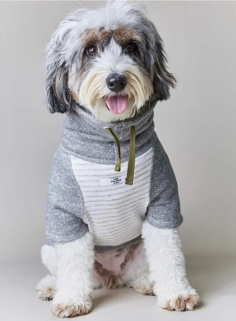 Oxford Stripe Dog Funnel Neck Pullover((CLEARANCE) - Image 2