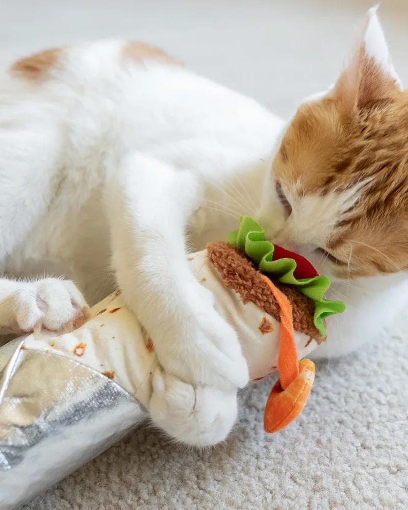 Shrimp Purrito Catnip Cat Toy - Image 2
