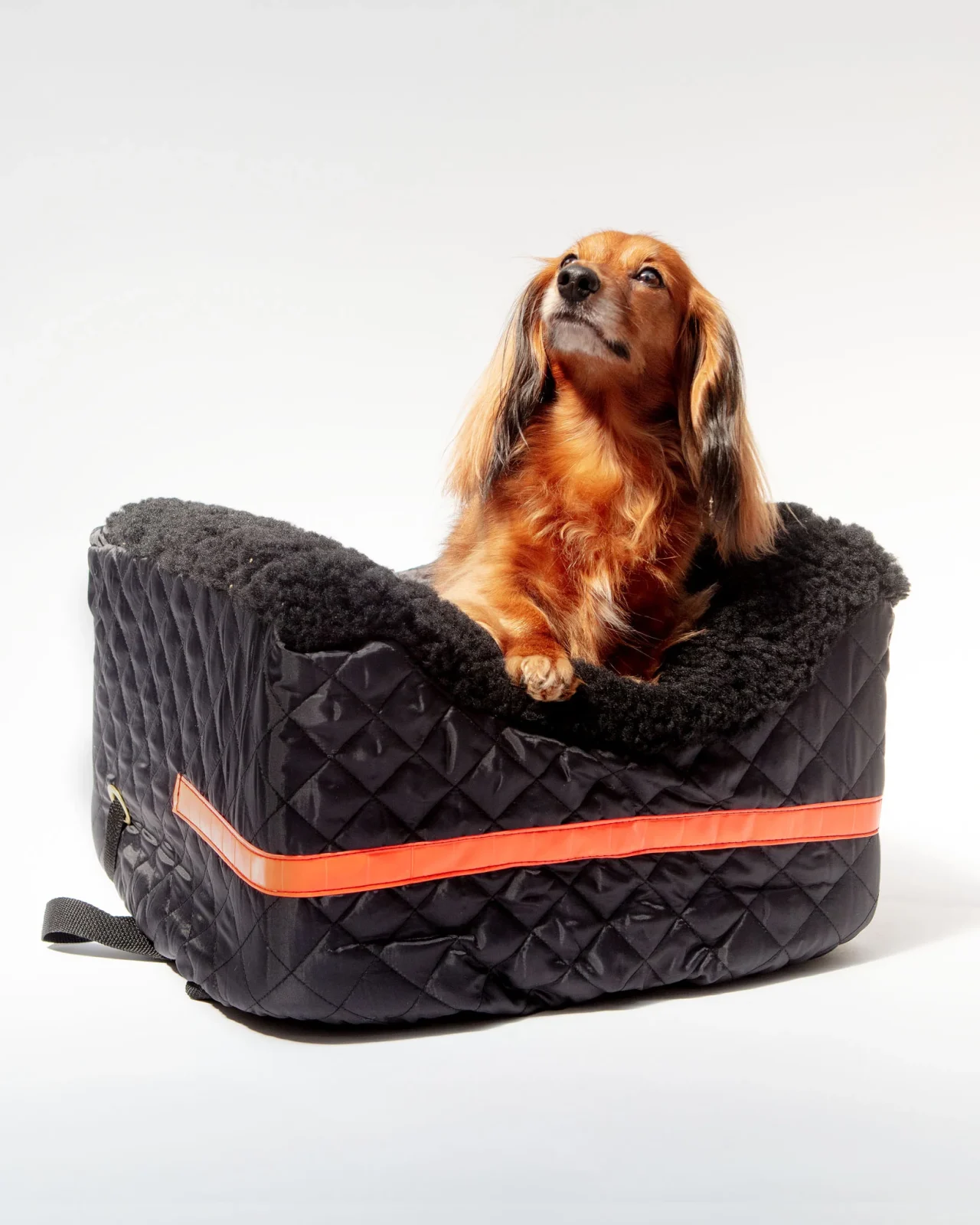 Dog Rider Bicycle Seat Bed <>