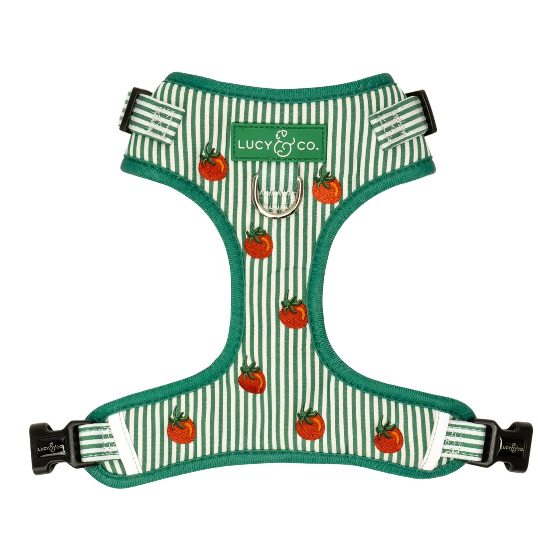 Tomato, Tomahto Embroidered No-Pull Harness