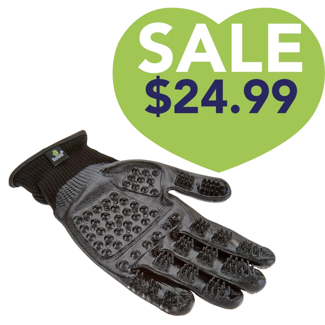 Extra-Large Black Deshedding Gloves by HandsOn Gloves