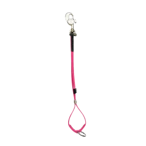 AXL Shorty Loop Pink by Alpha Grooming