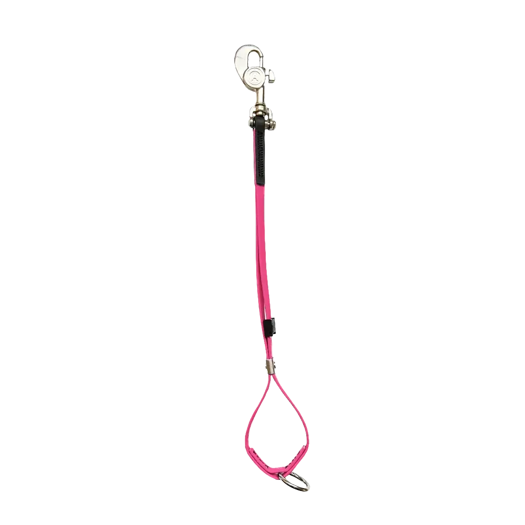 AXL Shorty Loop Pink by Alpha Grooming