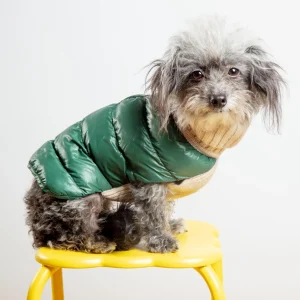 The Puffer Dog Sweater in Tan & Green