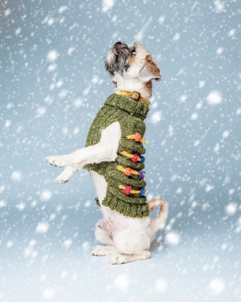 Christmas Tree Hand Knit Dog Sweater - Image 2