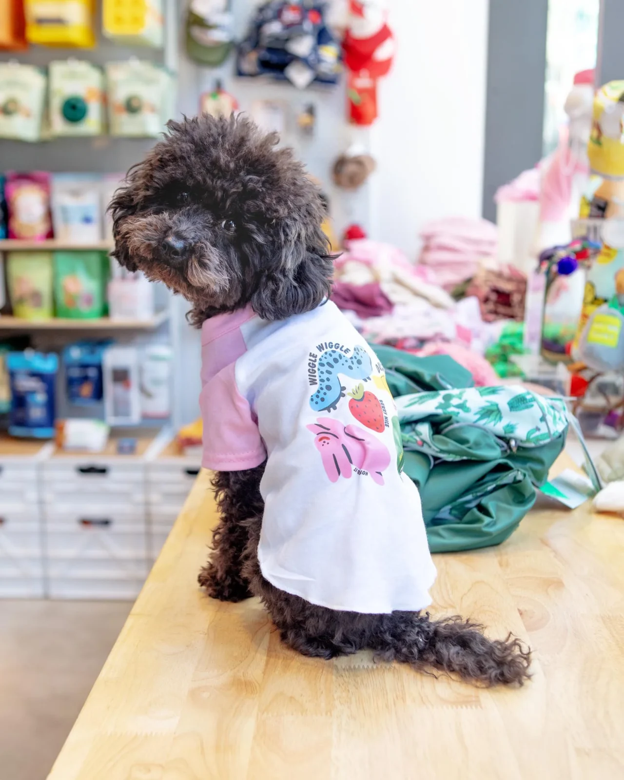 *Hop To It* Graphic Dog T-Shirt - Image 2